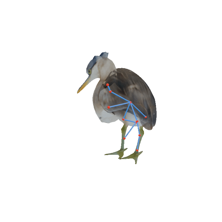 Heron pose walk GIF